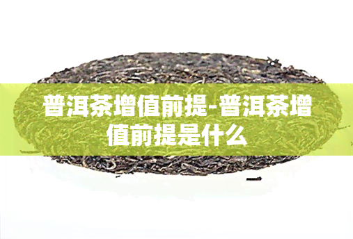 普洱茶增值前提-普洱茶增值前提是什么