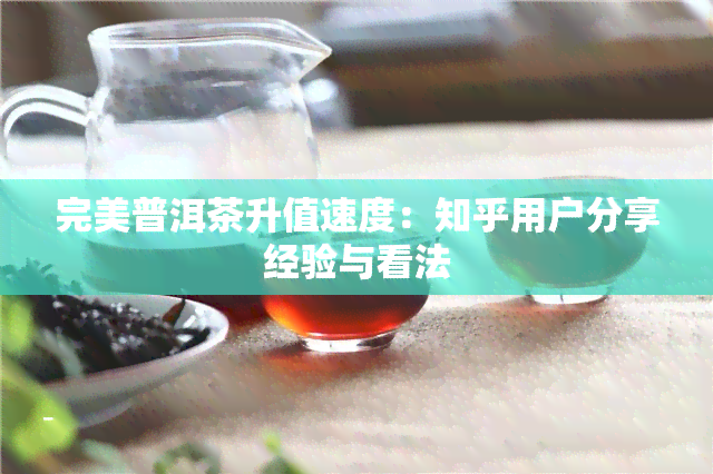 完美普洱茶升值速度：知乎用户分享经验与看法