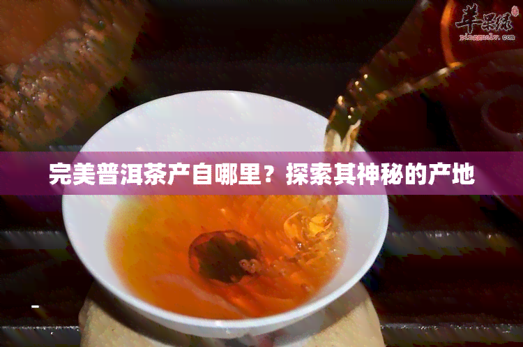 完美普洱茶产自哪里？探索其神秘的产地