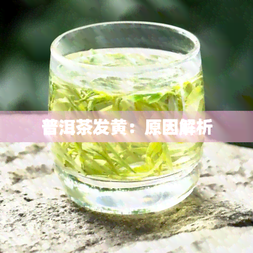 普洱茶发黄：原因解析