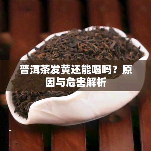 普洱茶发黄还能喝吗？原因与危害解析