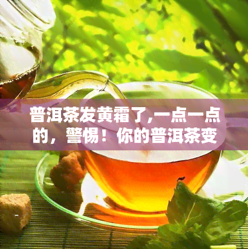 普洱茶发黄霜了,一点一点的，警惕！你的普洱茶变黄有霜，可能存在问题！