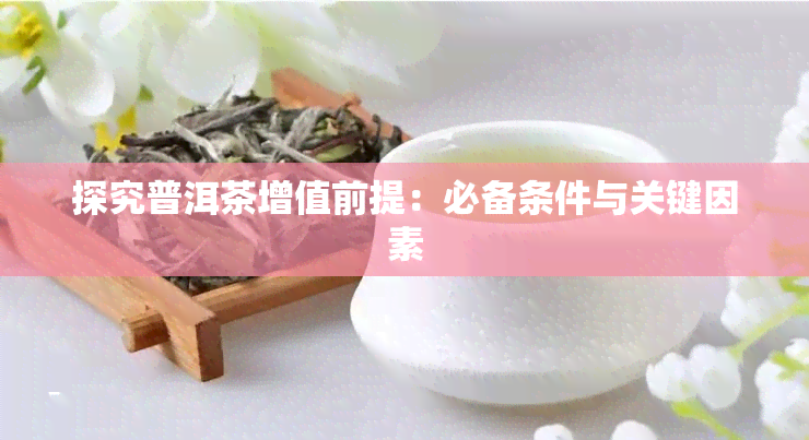 探究普洱茶增值前提：必备条件与关键因素