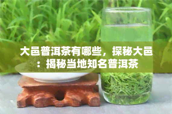 大邑普洱茶有哪些，探秘大邑：揭秘当地知名普洱茶