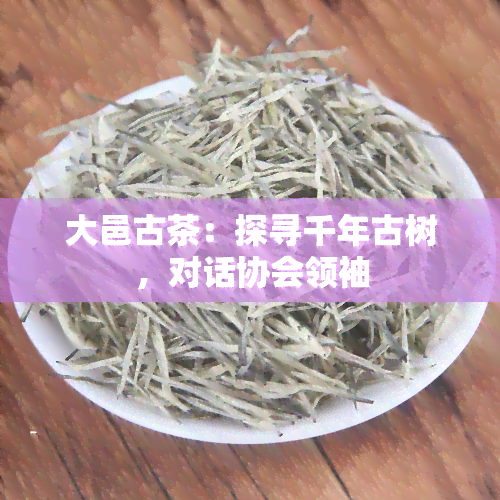 大邑古茶：探寻千年古树，对话协会领袖