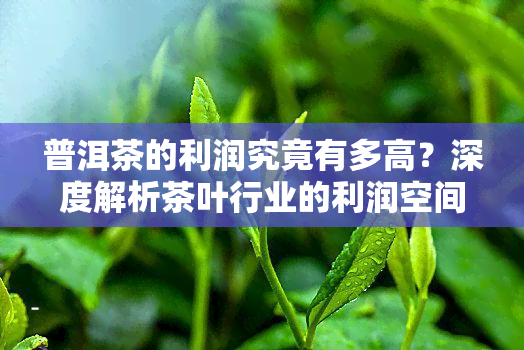 普洱茶的利润究竟有多高？深度解析茶叶行业的利润空间