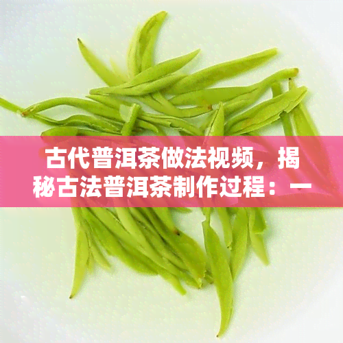 古代普洱茶做法视频，揭秘古法普洱茶制作过程：一份详细的视频教程