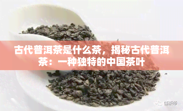 古代普洱茶是什么茶，揭秘古代普洱茶：一种独特的中国茶叶