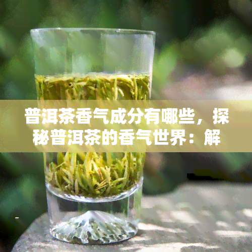 普洱茶香气成分有哪些，探秘普洱茶的香气世界：解析其主要香气成分