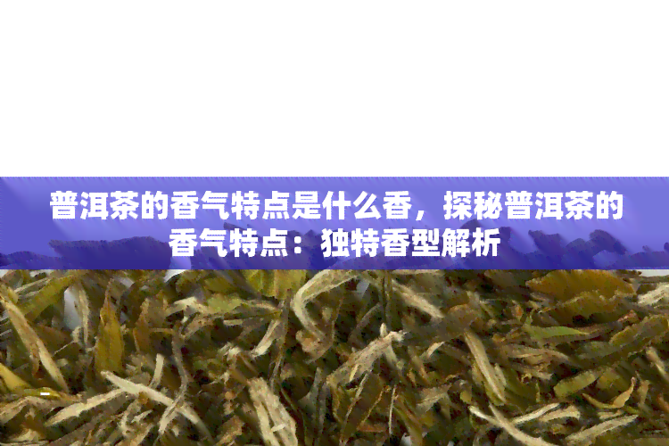 普洱茶的香气特点是什么香，探秘普洱茶的香气特点：独特香型解析