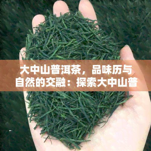 大中山普洱茶，品味历与自然的交融：探索大中山普洱茶的世界