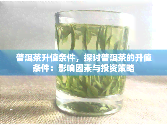 普洱茶升值条件，探讨普洱茶的升值条件：影响因素与投资策略