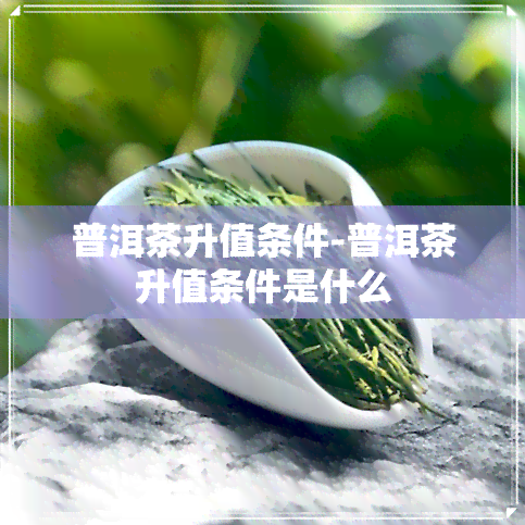 普洱茶升值条件-普洱茶升值条件是什么