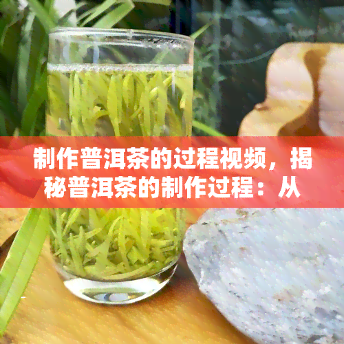 制作普洱茶的过程视频，揭秘普洱茶的制作过程：从叶到成品的全过程视频解析