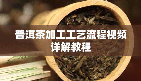 普洱茶加工工艺流程视频详解教程