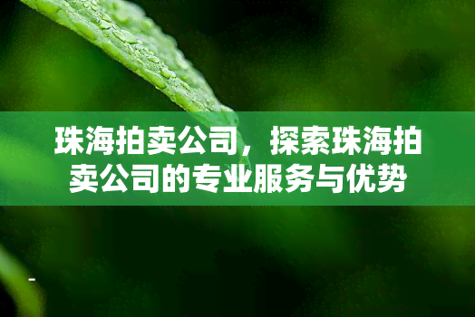 珠海拍卖公司，探索珠海拍卖公司的专业服务与优势