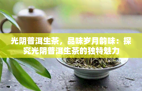 光阴普洱生茶，品味岁月韵味：探究光阴普洱生茶的独特魅力