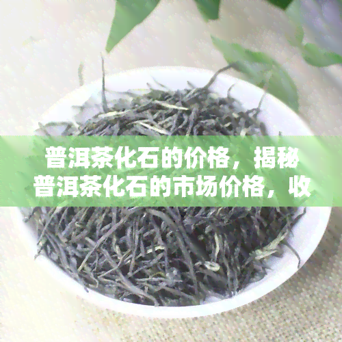 普洱茶化石的价格，揭秘普洱茶化石的市场价格，收藏爱好者的必读指南