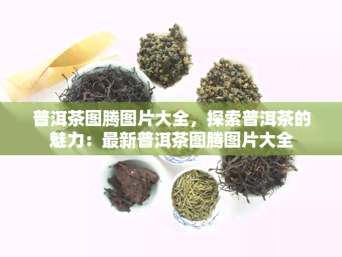 普洱茶图腾图片大全，探索普洱茶的魅力：最新普洱茶图腾图片大全