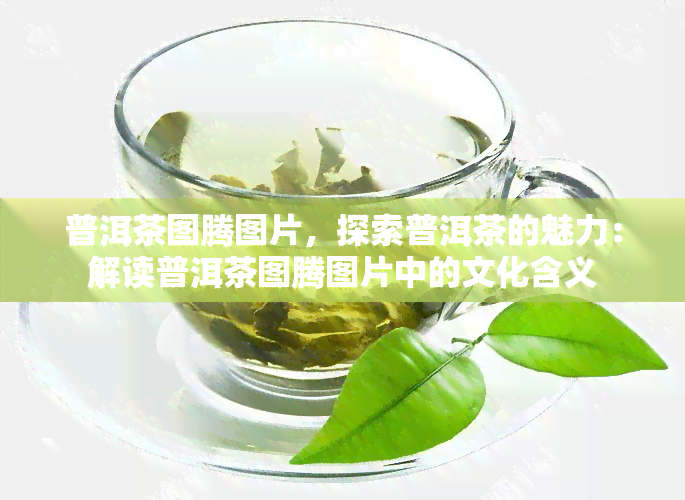 普洱茶图腾图片，探索普洱茶的魅力：解读普洱茶图腾图片中的文化含义