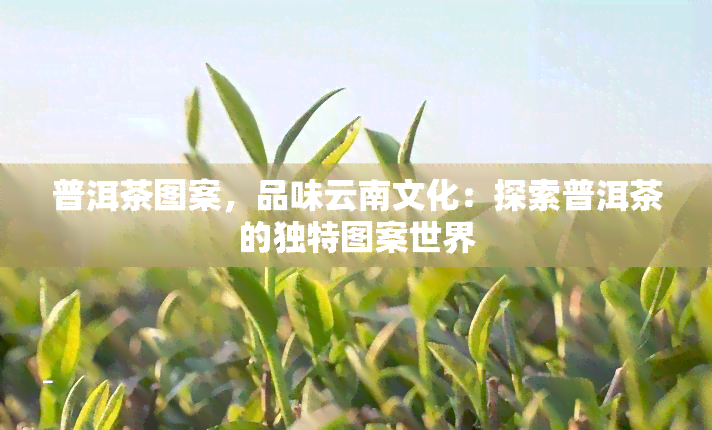 普洱茶图案，品味云南文化：探索普洱茶的独特图案世界