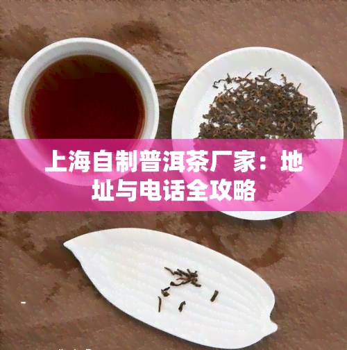 上海自制普洱茶厂家：地址与电话全攻略