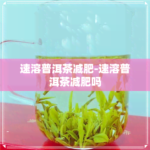 速溶普洱茶减肥-速溶普洱茶减肥吗