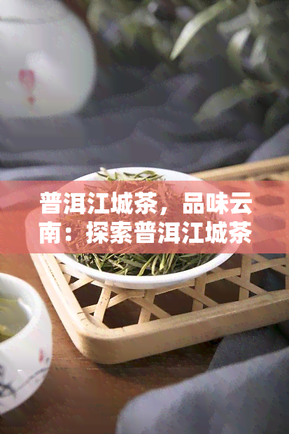 普洱江城茶，品味云南：探索普洱江城茶的韵味与魅力