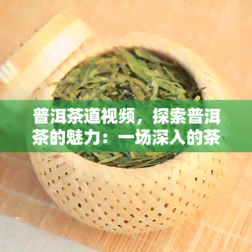 普洱茶道视频，探索普洱茶的魅力：一场深入的茶道视频之旅