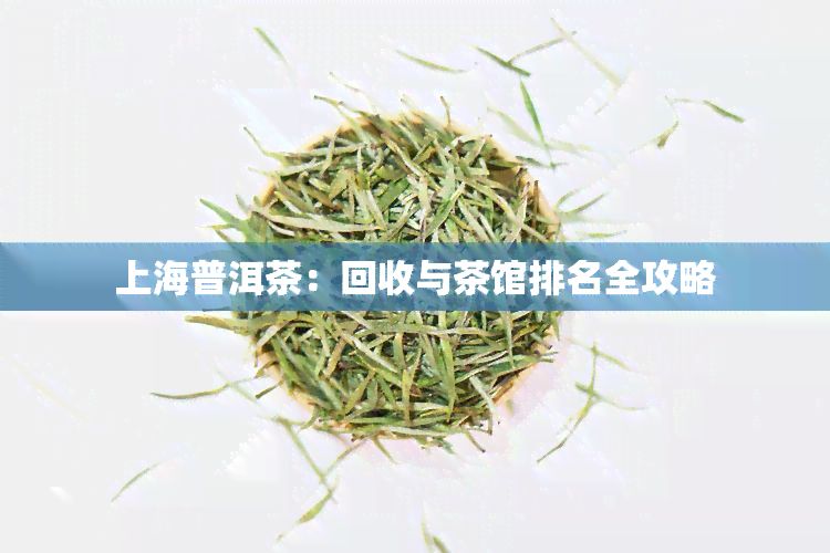 上海普洱茶：回收与茶馆排名全攻略