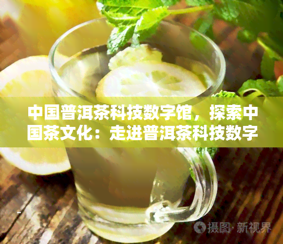 中国普洱茶科技数字馆，探索中国茶文化：走进普洱茶科技数字馆