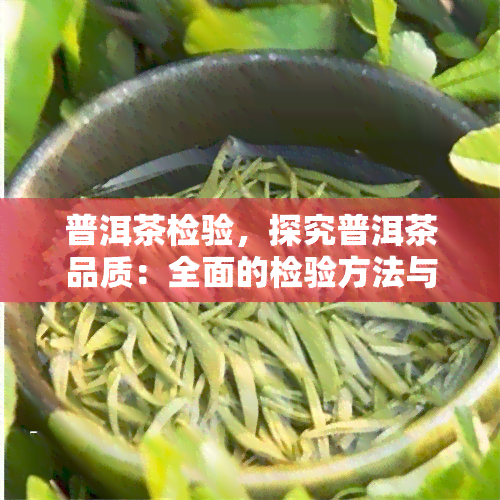 普洱茶检验，探究普洱茶品质：全面的检验方法与标准