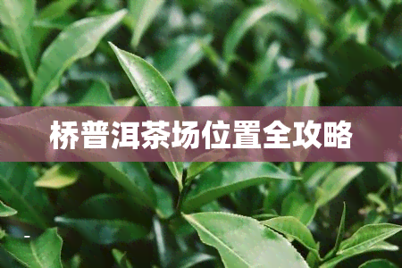 桥普洱茶场位置全攻略