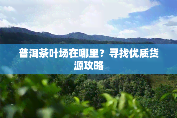 普洱茶叶场在哪里？寻找优质货源攻略