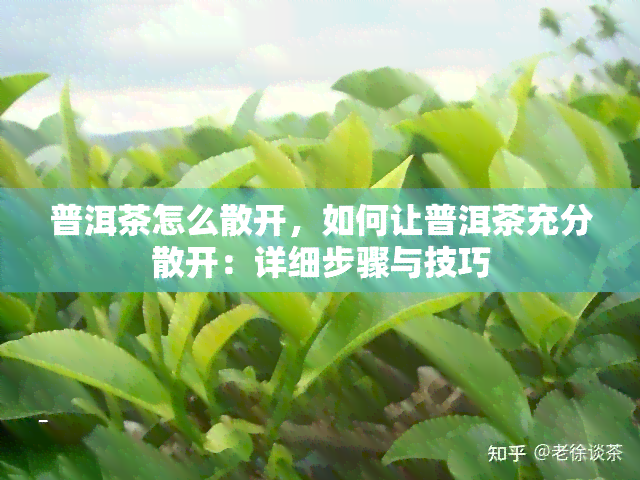 普洱茶怎么散开，如何让普洱茶充分散开：详细步骤与技巧