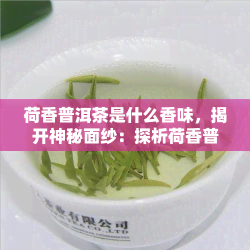 荷香普洱茶是什么香味，揭开神秘面纱：探析荷香普洱茶的香气特性