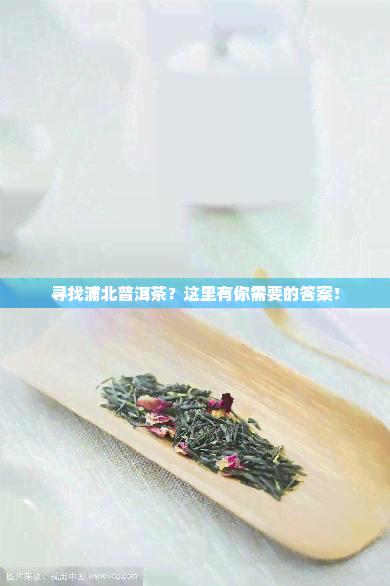 寻找浦北普洱茶？这里有你需要的答案！