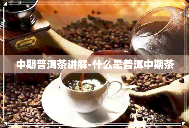 中期普洱茶讲解-什么是普洱中期茶