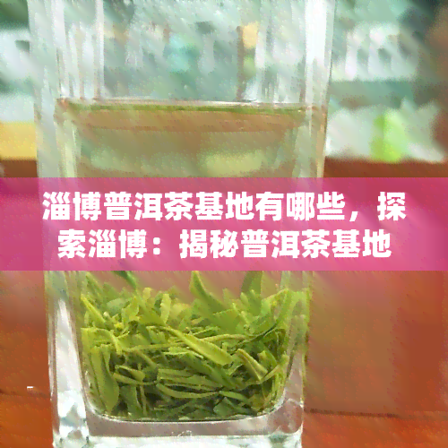 淄博普洱茶基地有哪些，探索淄博：揭秘普洱茶基地的秘密