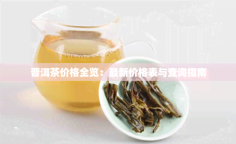 普洱茶价格全览：最新价格表与查询指南