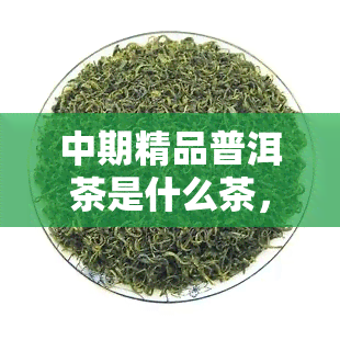 中期精品普洱茶是什么茶，「中期精品普洱茶」：探索云南特色茶叶的神秘世界