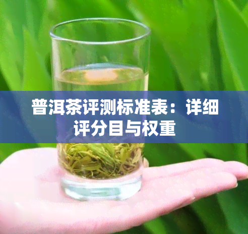 普洱茶评测标准表：详细评分目与权重