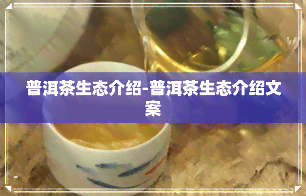 普洱茶生态介绍-普洱茶生态介绍文案