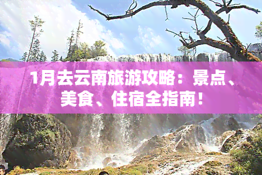 1月去云南旅游攻略：景点、美食、住宿全指南！