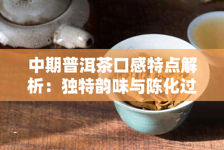 中期普洱茶口感特点解析：独特韵味与陈化过程的影响