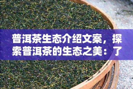 普洱茶生态介绍文案，探索普洱茶的生态之美：了解这种独特茶叶的生长环境和制作过程