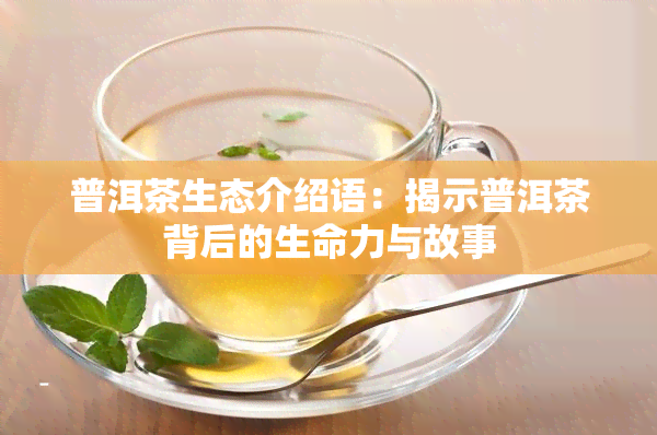 普洱茶生态介绍语：揭示普洱茶背后的生命力与故事