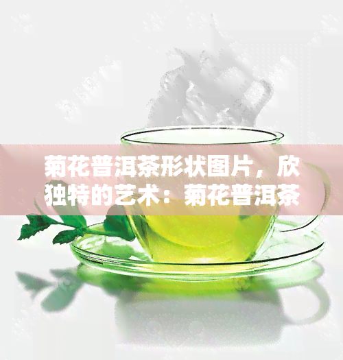 菊花普洱茶形状图片，欣独特的艺术：菊花普洱茶形状的美丽图片