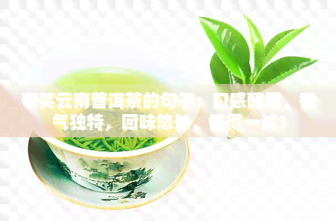 夸奖云南普洱茶的句子：口感醇厚，香气独特，回味悠长，值得一试！