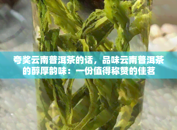 夸奖云南普洱茶的话，品味云南普洱茶的醇厚韵味：一份值得称赞的佳茗